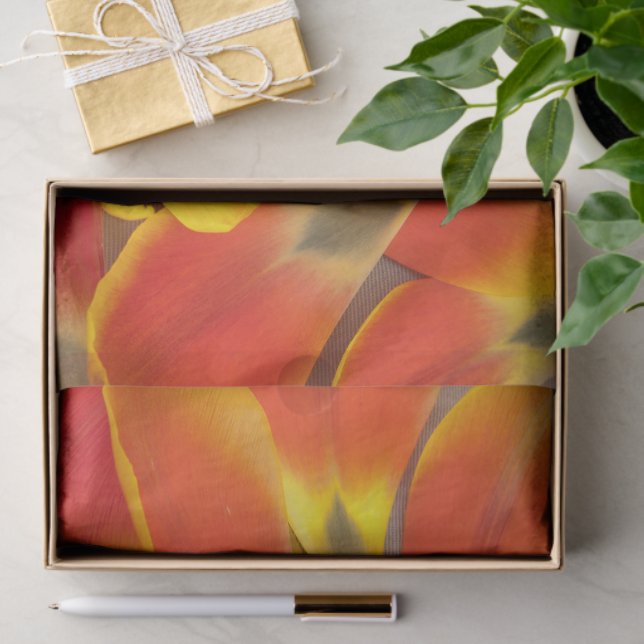 Papel De Seda Tulipas Laranja Vibrantes Fotografia Petal Qualque (Presente)