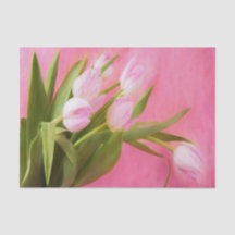 Tulipas Rosa Bonitas