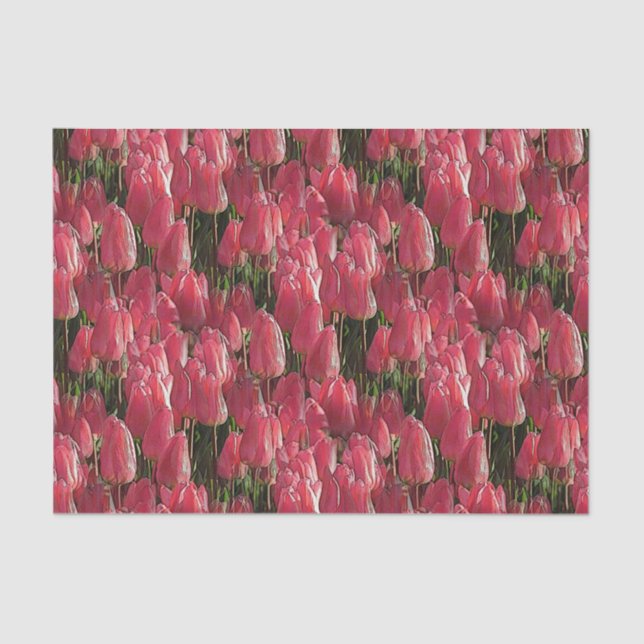 Papel De Seda Tulipas Rosa Floral (Frente )