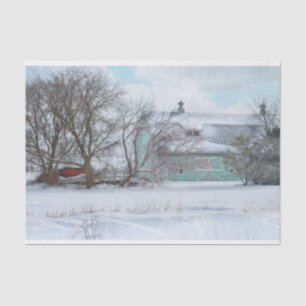 Papel De Seda Turquoise Winter Barn
