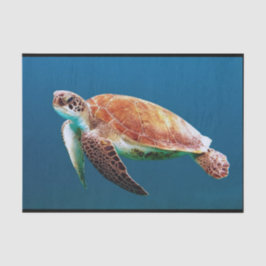 Papel De Seda Turtle Blue Water Sea Photo