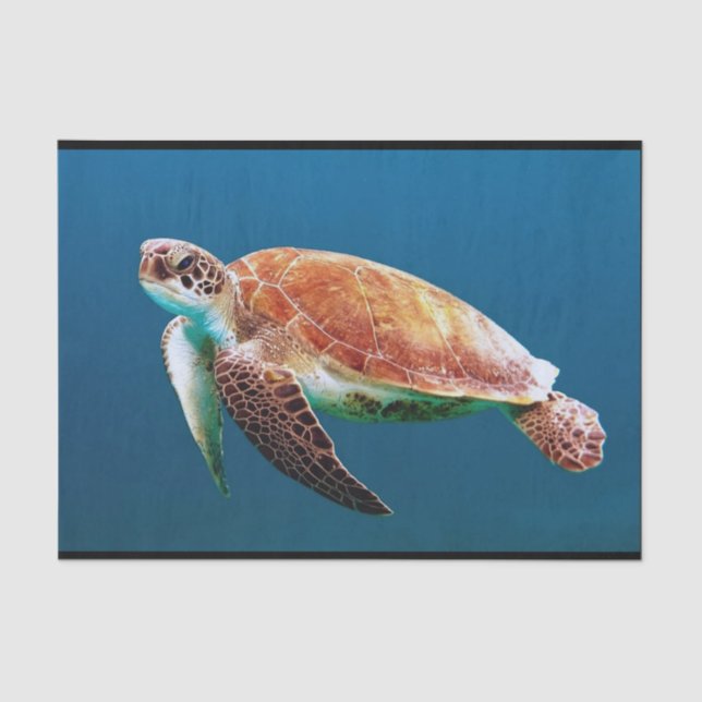 Papel De Seda Turtle Blue Water Sea Photo (Frente )
