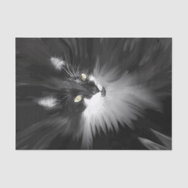 Papel De Seda Tuxedo Cat (Frente )