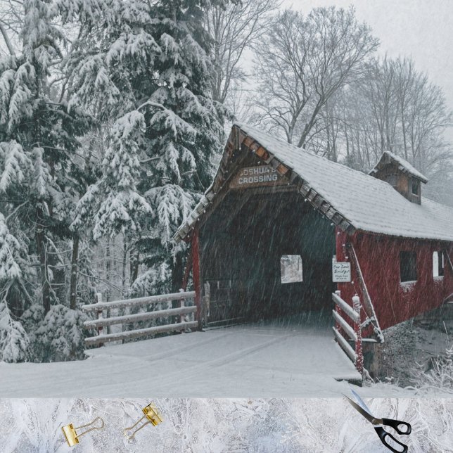 Papel De Seda Um Barão Saudável num Dia de Neve (Criador carregado)