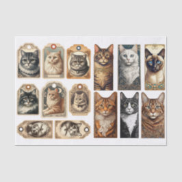 Papel De Seda Um Belo Conjunto de Etiquetas de Gato Inspiradas e