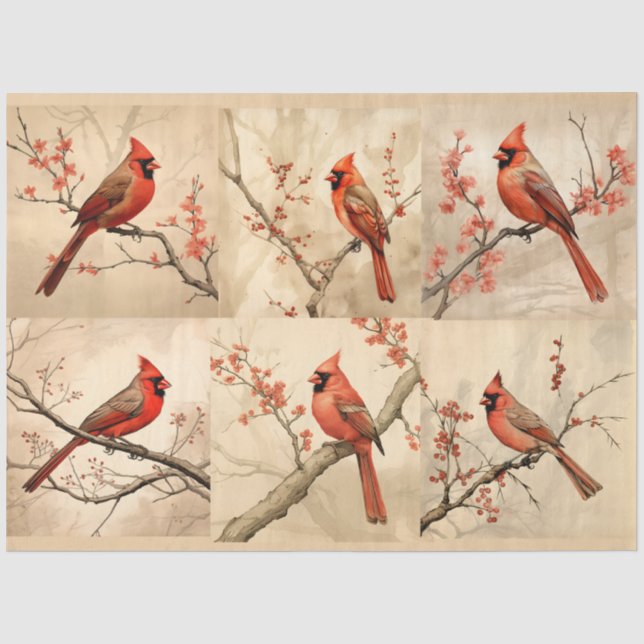 Papel De Seda Um Design da Série Cardinal Vermelho 1 (Frente )
