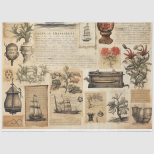 Papel De Seda Um Design da Série Náutica Scrappy 20
