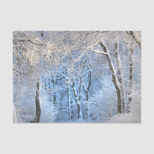 Papel De Seda um outro país das maravilhas do inverno (Frente )