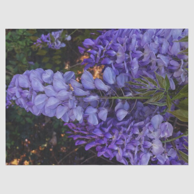 Papel De Seda um toque lindo da natureza (Frente )