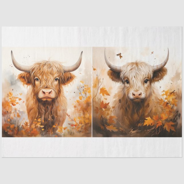 Papel De Seda Uma Coleção de Designs de Vaca das Terras Altas 2 (Frente )