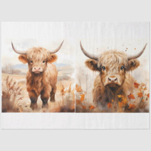Papel De Seda Uma Coleção de Designs de Vaca das Terras Altas 5