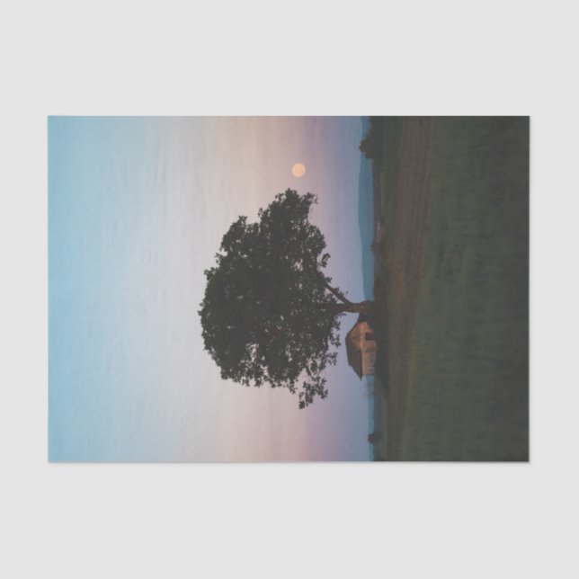 Papel De Seda Uma grande árvore solitária protegendo um celeiro (Frente )