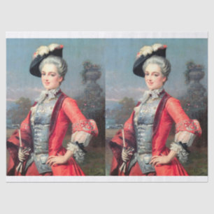 Papel De Seda Uma senhora do século XVIII elegante para