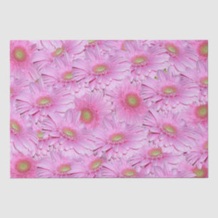 Papel De Seda Uma Sinfonia de Gerberas Rosa,