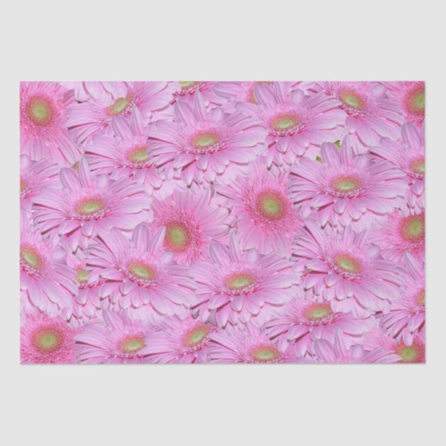 Papel De Seda Uma Sinfonia de Gerberas Rosa, (Frente )