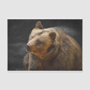 Papel De Seda Urso Castanho