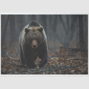 Papel De Seda Urso Grizzly na Sequência das Florestas