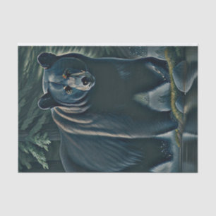 Papel De Seda Urso Negro Majestoso Da Floresta Norte