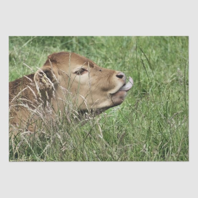 PAPEL DE SEDA VACA (Frente )