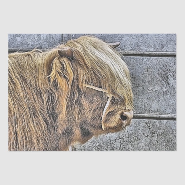 PAPEL DE SEDA VACA (Frente )