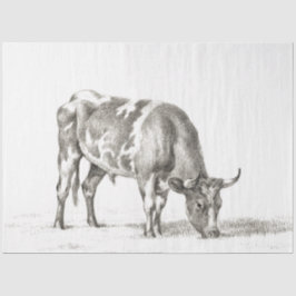 Papel De Seda Vaca de Fazenda de Ephemera Touro Grazida