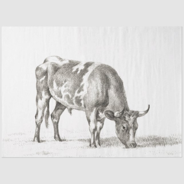 Papel De Seda Vaca de Fazenda de Ephemera Touro Grazida (Frente )