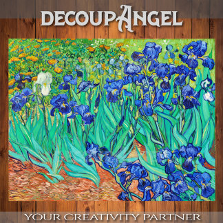Papel De Seda Van Gogh - Campo de Dissociação de Irrises
