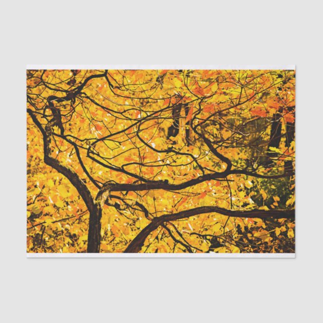 Papel De Seda Veias ouros Do Outono (Frente )