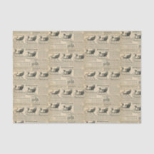 Velhos Vedantes de Natal do Catálogo Moçado