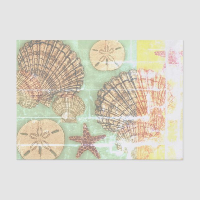 Papel De Seda Vendredi Seashells (Frente )