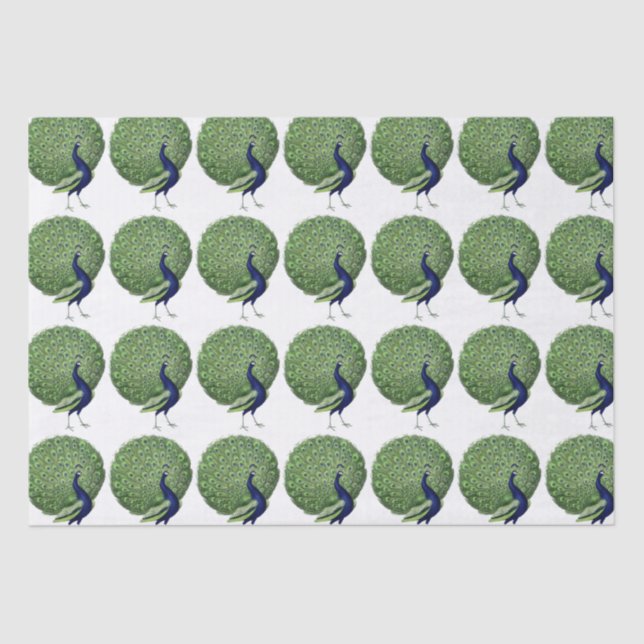 Papel De Seda Ventilador Aberto Pavão (Frente )