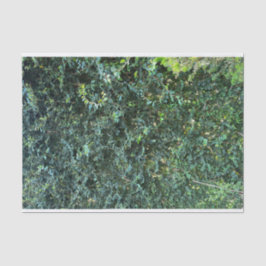 Papel De Seda Verde Botânico Escuro Fundo Floral