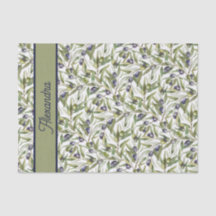 Verde Salvia Aquarela País Francês Oliva