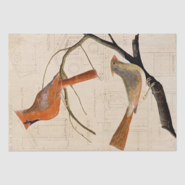 Papel De Seda Vermelho de Decoupage Blueprint Blueprint do Pássa (Frente )