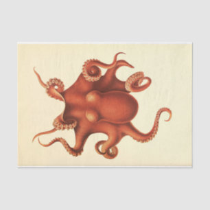 Papel De Seda Vermelho de Decoupage de Octopus Ephemera