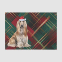 Vermelho Xadrez Natal Afegão Cão Férias
