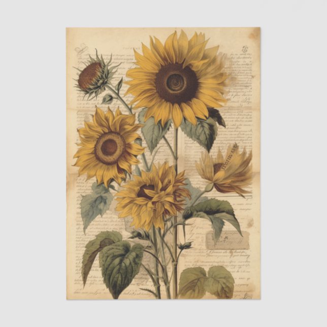 Papel De Seda Vibrant Sunflowers and Vintage Script (Frente )