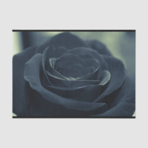 Papel De Seda Víbula Gótica Preta Rosa