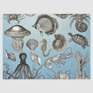 Papel De Seda Vida marinha