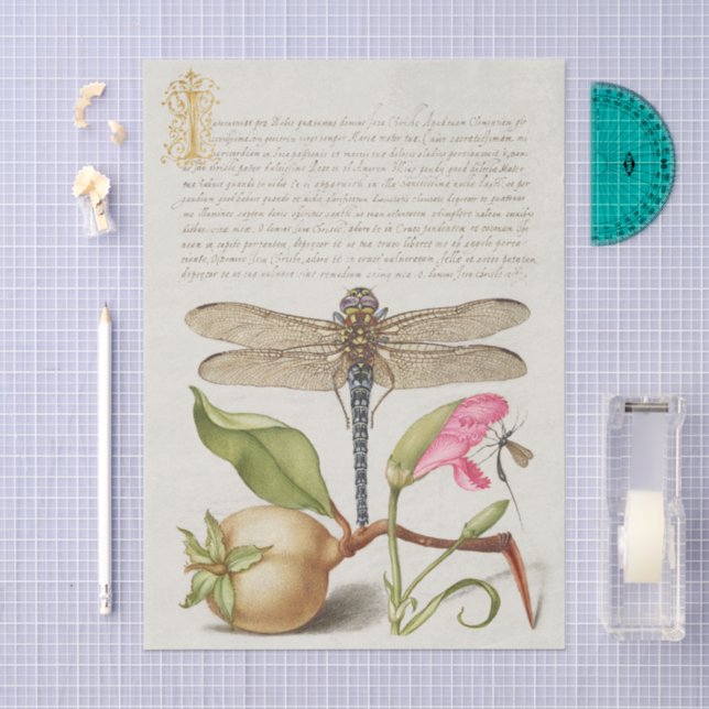 Papel De Seda Vida no jardim, Libélula, Pera, Cravo e Inseto (Arte )