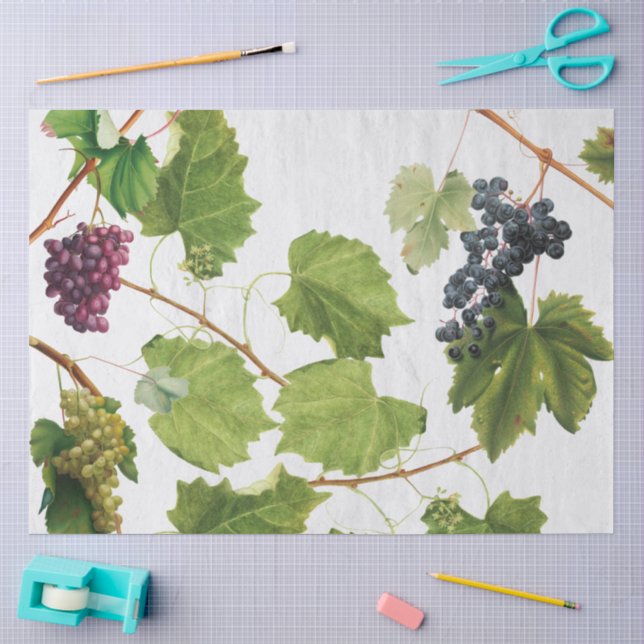 Papel De Seda Videira de Uvas Mediterrâneo Ilha Grega  (Arte )