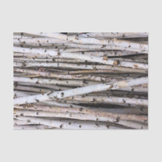 Papel De Seda Vidoeiro