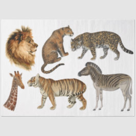 Papel De Seda Vintage Africa Selvagens Lion Leopard Decoupage