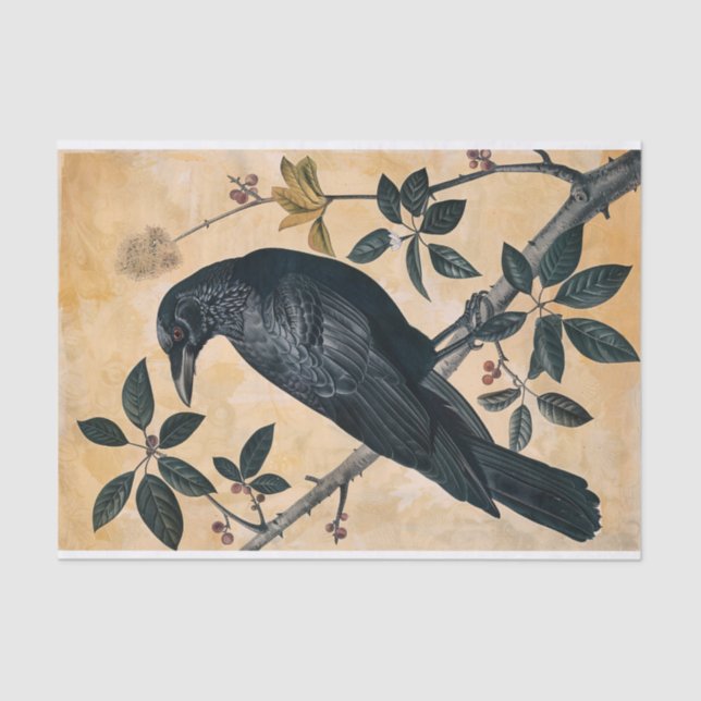 Papel De Seda Vintage American Crow Illustration Decoupage (Frente )