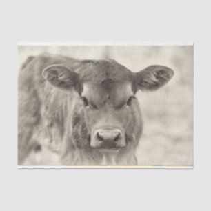Papel De Seda Vintage Baby Cow Calf Paper