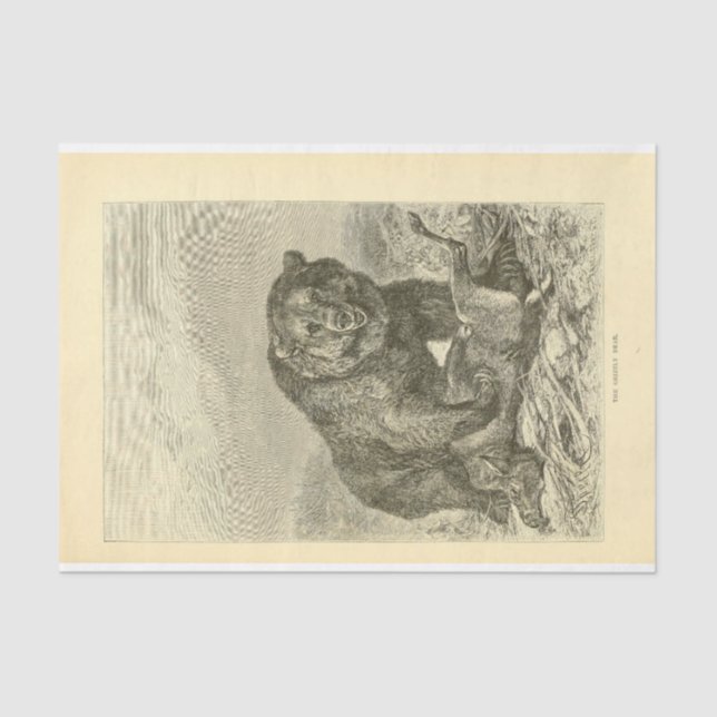 Papel De Seda Vintage Bear Ephemera Decoupage (Frente )