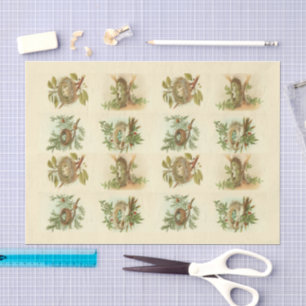Papel De Seda Vintage Bird Nest Illustrações de Desduplicação