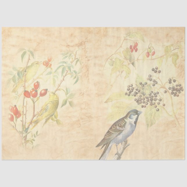 Papel De Seda Vintage Bird Series Design 2 (Frente )
