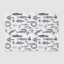 Vintage Black & White Line Art Sea Creatations