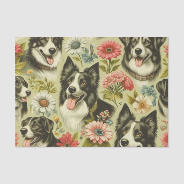 Papel De Seda Vintage Border Collie Painting (Frente )